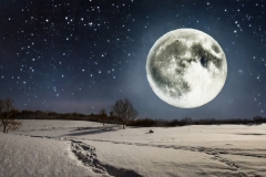 Firefly-the-doom-day-of-peace-is-large-full-moon-and-snow-in-winter-its-polar-night-many-stars-on-3